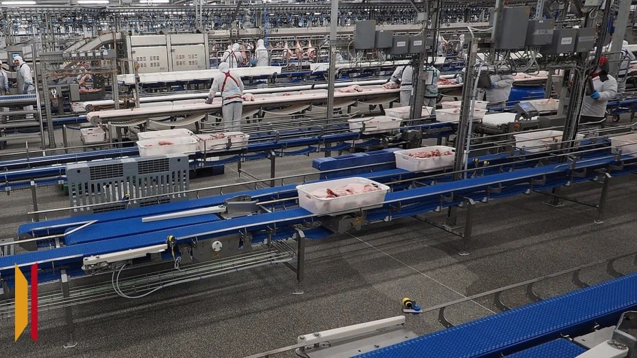 В Хохольском районе построят завод по переработке отходов животноводства