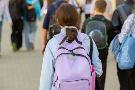 Волк предупредила воронежских школьников об аферистах с видео в форме ВСУ