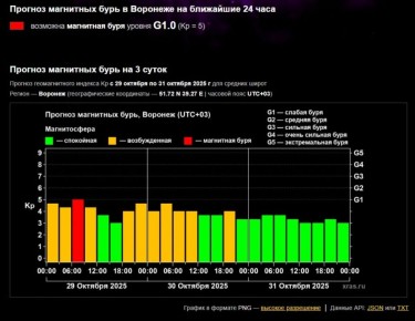 Возбужденная магнитосфера может сказаться на метеочувствительных воронежцах 29 октября