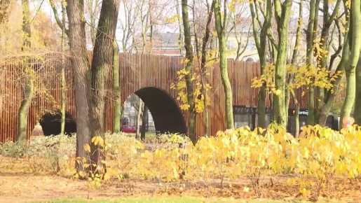 Лучшие градостроительные практики Воронежа изучат управленцы из разных регионов России