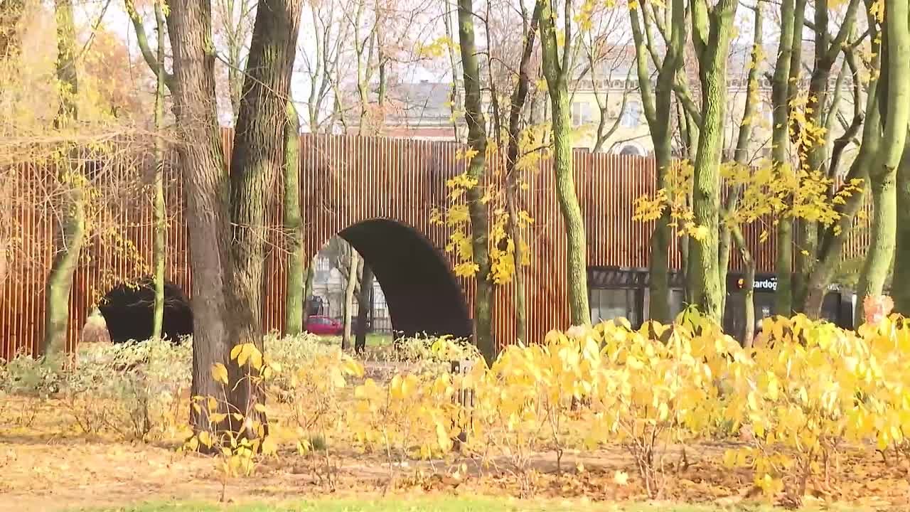 Лучшие градостроительные практики Воронежа изучат управленцы из разных регионов России