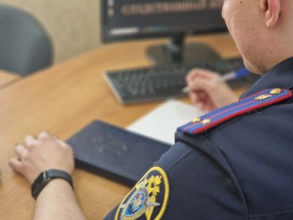 В Кантемировском районе двое местных жителей подозреваются в мошенничестве в особо крупном размере