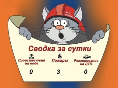 Оперативная сводка за сутки