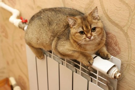 Тепло возвращается в квартиры жителей Железнодорожного района