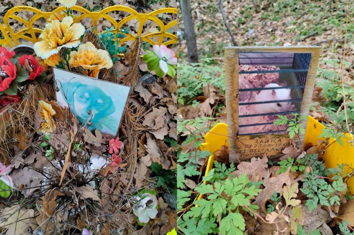 У станции «Западный поселок» под Воронежем обнаружили кладбище домашних животных