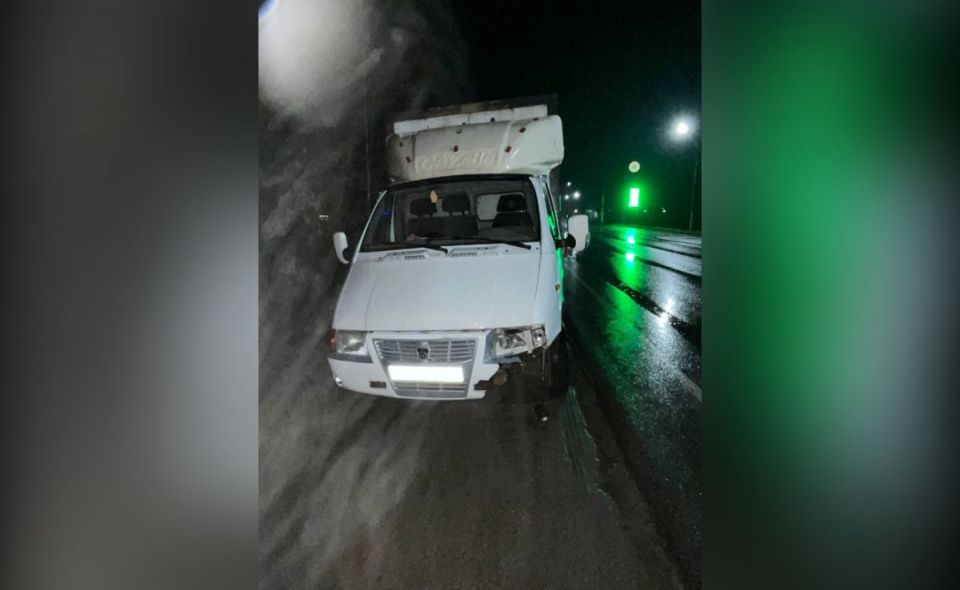 Тамбовчанин на «ГАЗели» насмерть сбил пешехода на трассе в Воронежской области