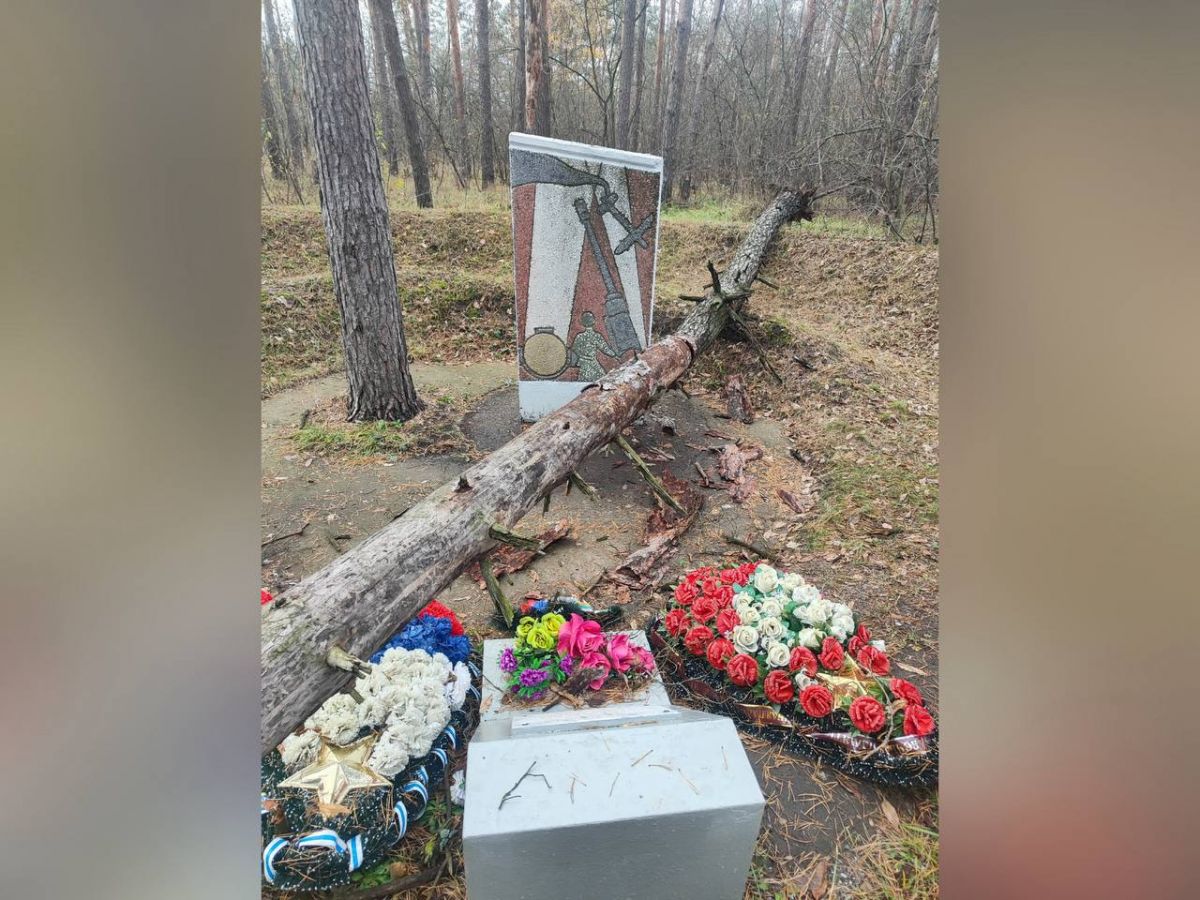 Упавшая сосна едва не сломала памятник военным прожектористам