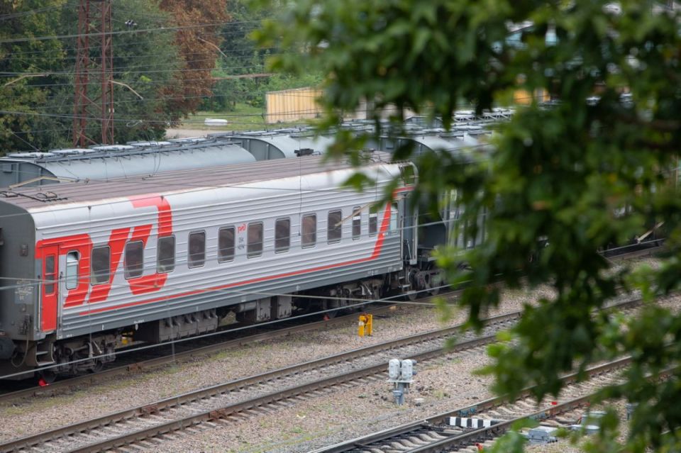 В Воронежской области мужчина с психическим расстройством похитил и удерживал женщину в поезде