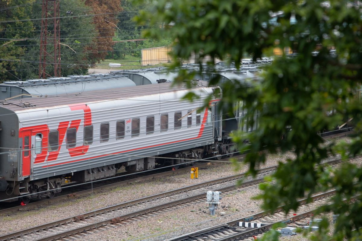 В Воронежской области мужчина с психическим расстройством похитил и удерживал женщину в поезде