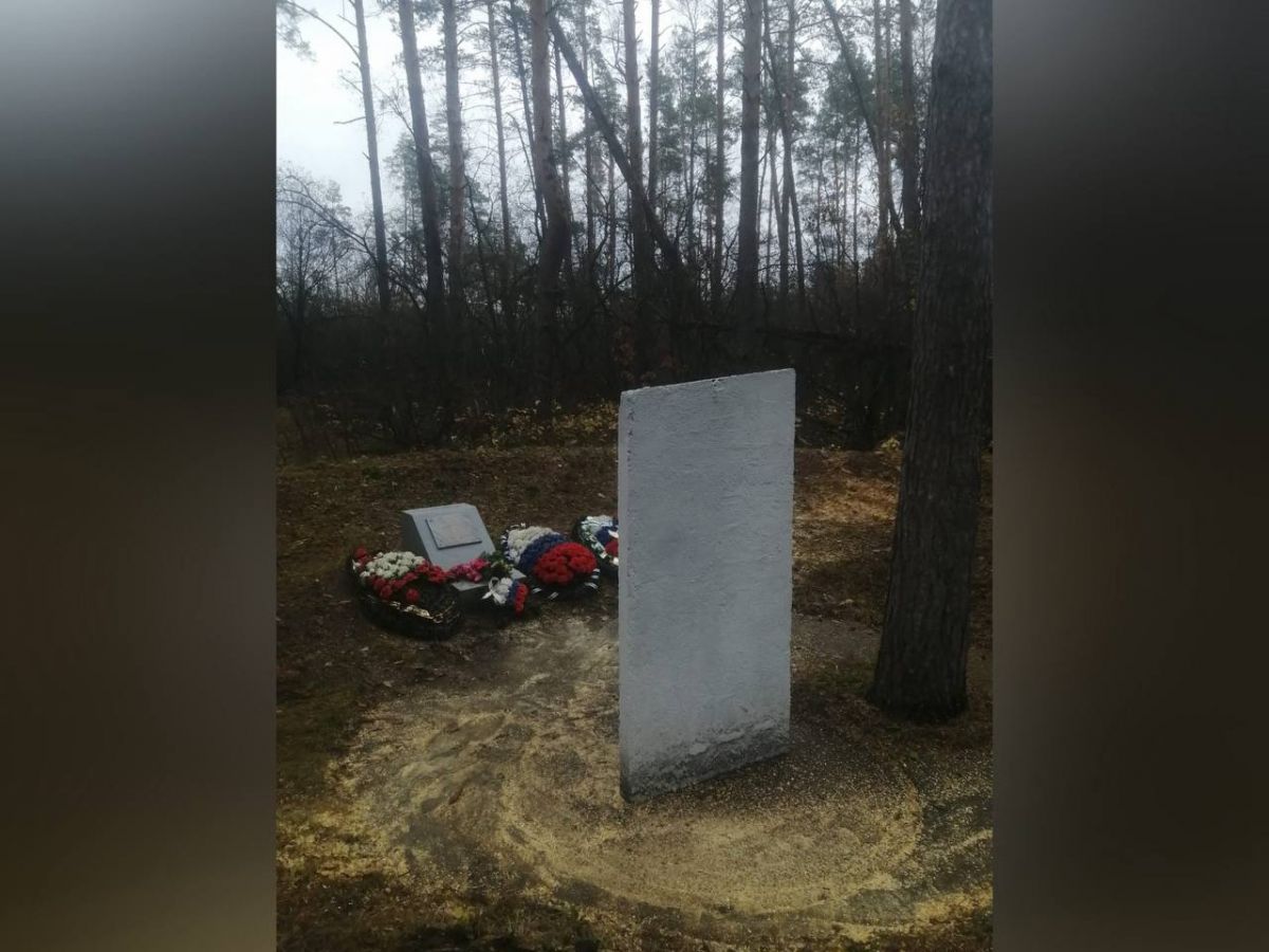 Специалисты убрали упавшую неподалеку от памятника сосну в Советском районе