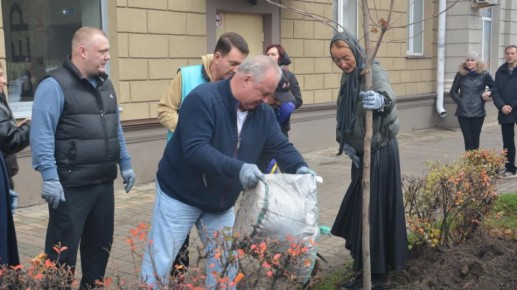 Депутаты Воронежской гордумы высадили клены в преддверии Дня народного единства