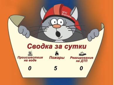 Оперативная сводка за сутки