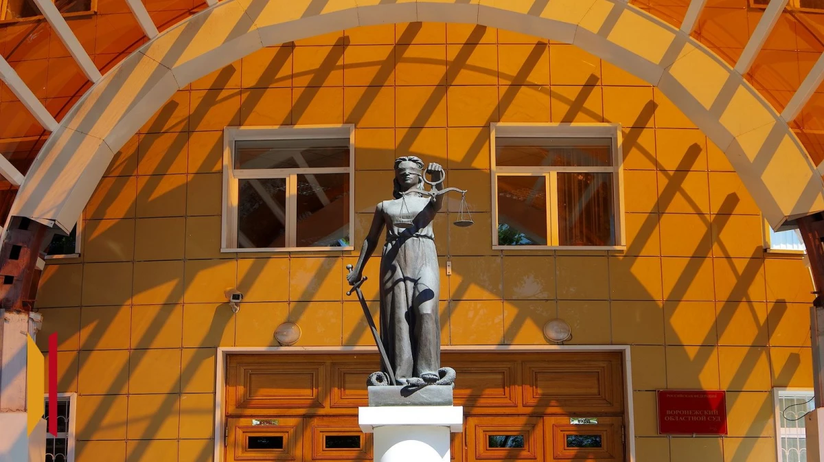 В Воронеже мужчина получил условный срок за реабилитацию нацизма в интернете