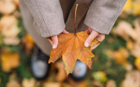 Традиционно 31 октября по всему миру отмечают самый жуткий праздник — Хэллоуин