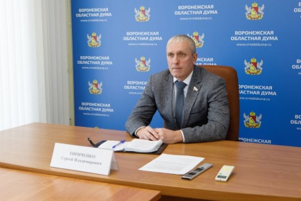 Сергей Тириченко в режиме ВКС принял участие в заседании Госдумы