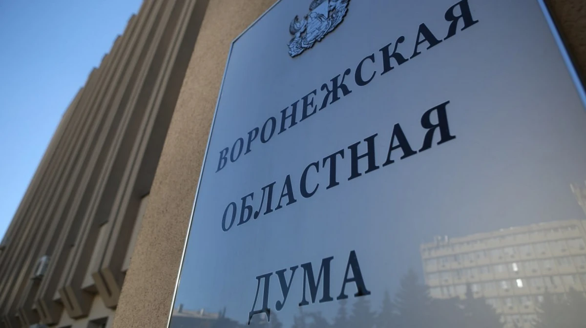 Правительство Воронежской области внесло на рассмотрение в облдуму проект бюджета на 2026-2028 годы