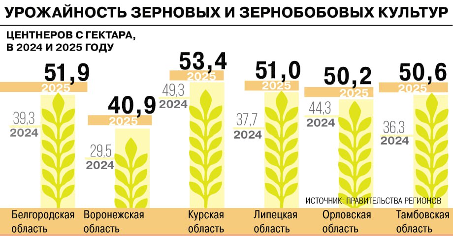 Рожь удержалась над пропастью: аграрии Черноземья подводят итоги уборочной кампании