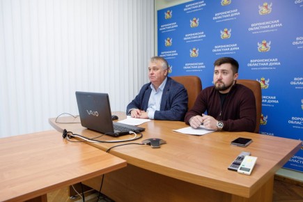 Депутаты Воронежской облдумы приняли участие в обсуждении законодательных инициатив в сфере рекламы