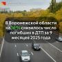 В Воронежской области на 16 % снизилось число погибших в ДТП за девять месяцев 2025 года
