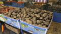 В Воронежской области за неделю сильно подешевела картошка