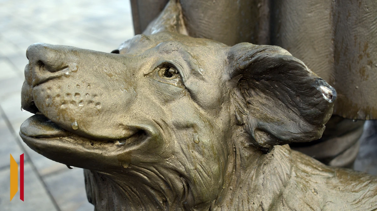 В Воронежской области нашли вандалов, которые испортили обновленный парк «Сердце Калача»