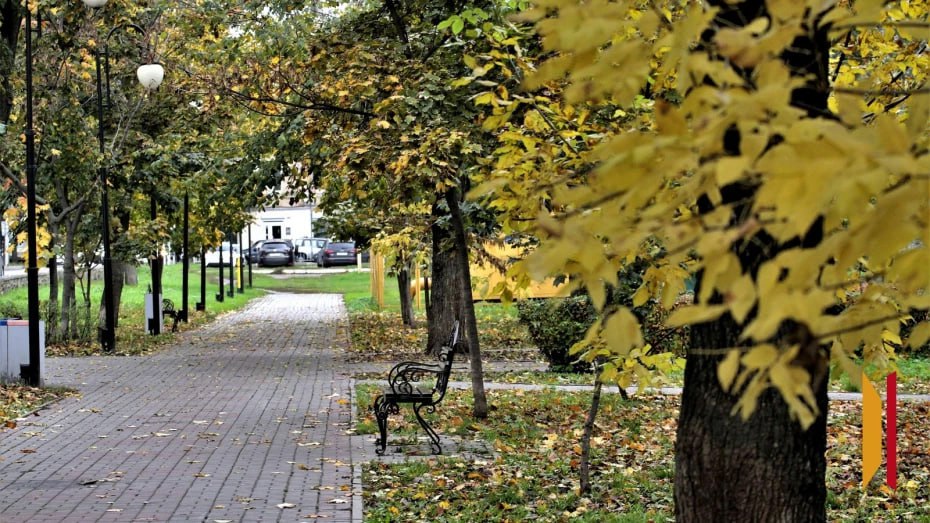 Главный метеоролог Воронежской области рассказал, каким будет ноябрь