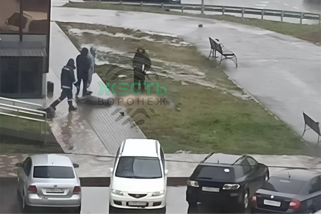 Тело несовершеннолетней нашли под окнами многоэтажки в микрорайоне Шилово