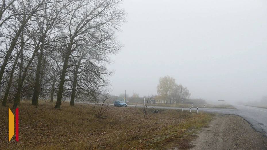 В Воронежской области продлили желтый уровень погодной опасности по туману