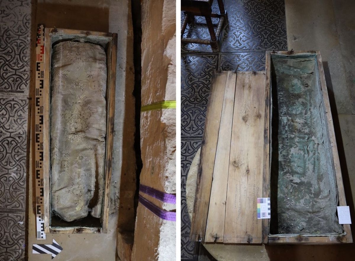 ТОП значимых событий ЦФО: комета в объективе, погром на могиле Хоя и «голая вечеринка» с чернокожим