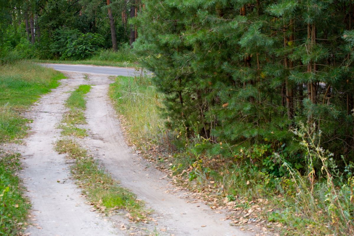 «Найден, погиб». Воронежские волонтеры нашли 7 пропавших людей мертвыми в октябре