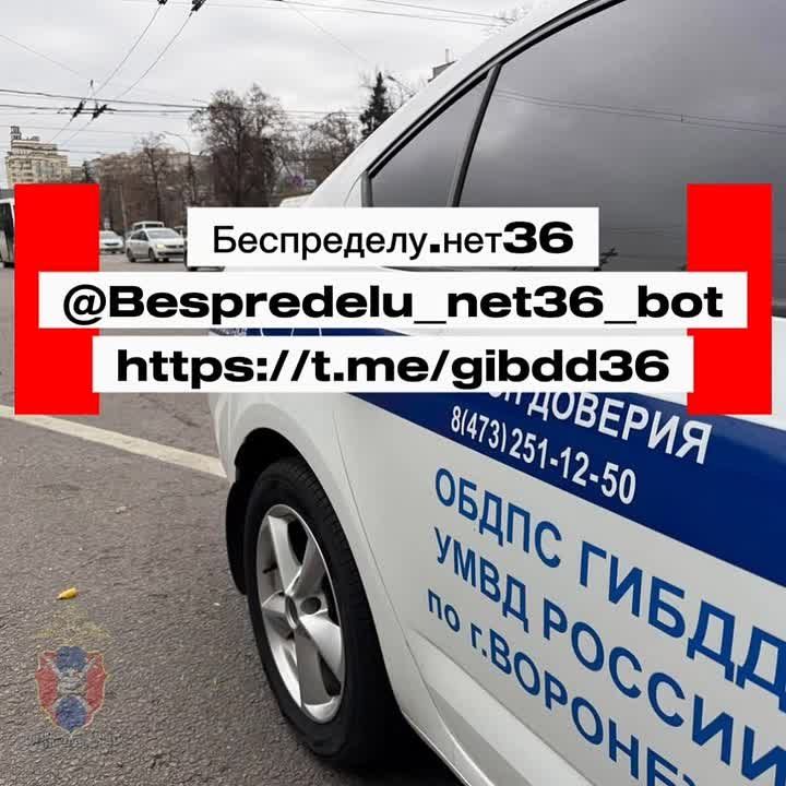  ,   - @Bespredelu_net36_bot,      1      :