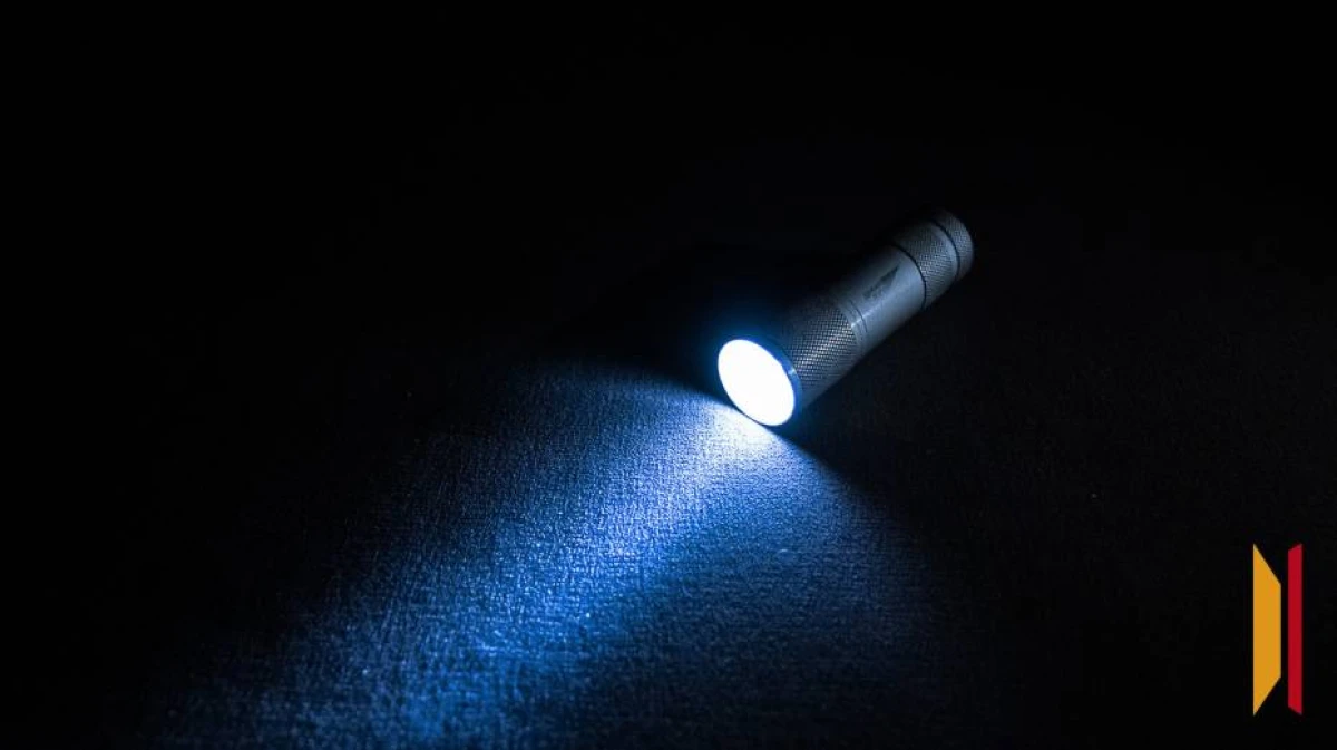 Без вести пропавшего человека нашли мертвым в Воронежской области