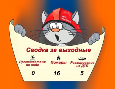 Оперативная сводка за выходные