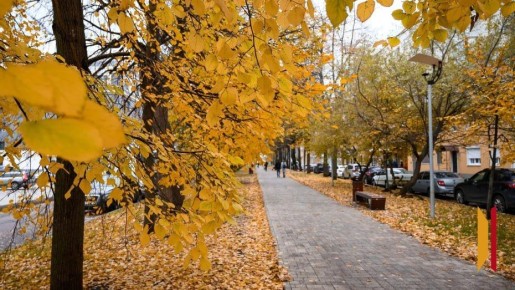 Воронежцев ожидает теплая и солнечная короткая рабочая неделя