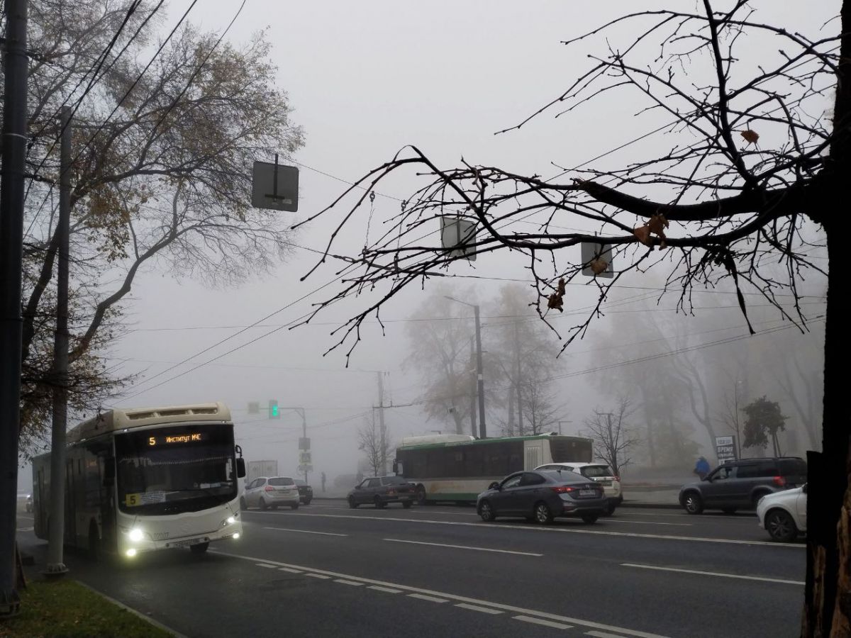На 11 часов объявят желтый уровень погодной опасности из-за тумана в Воронежской области