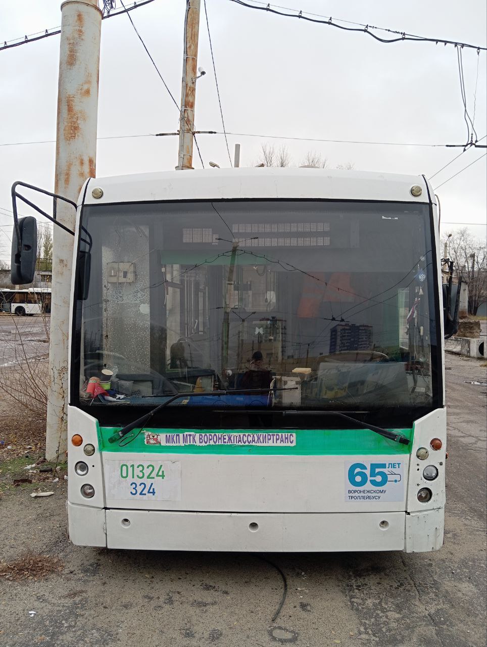 В Воронеже появились тематические троллейбусы в честь 65-летия открытия троллейбусного движения
