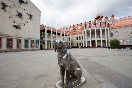 Воронежцам сообщили о необходимости перевыпуска «Пушкинской карты» до конца года