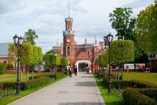 В Воронежской области в очередной раз не удалось найти подрядчика для реставрации дворца Ольденбургских