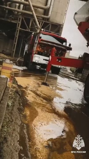 Кадры с пожара на элеваторе в поселке Латная 5 ноября