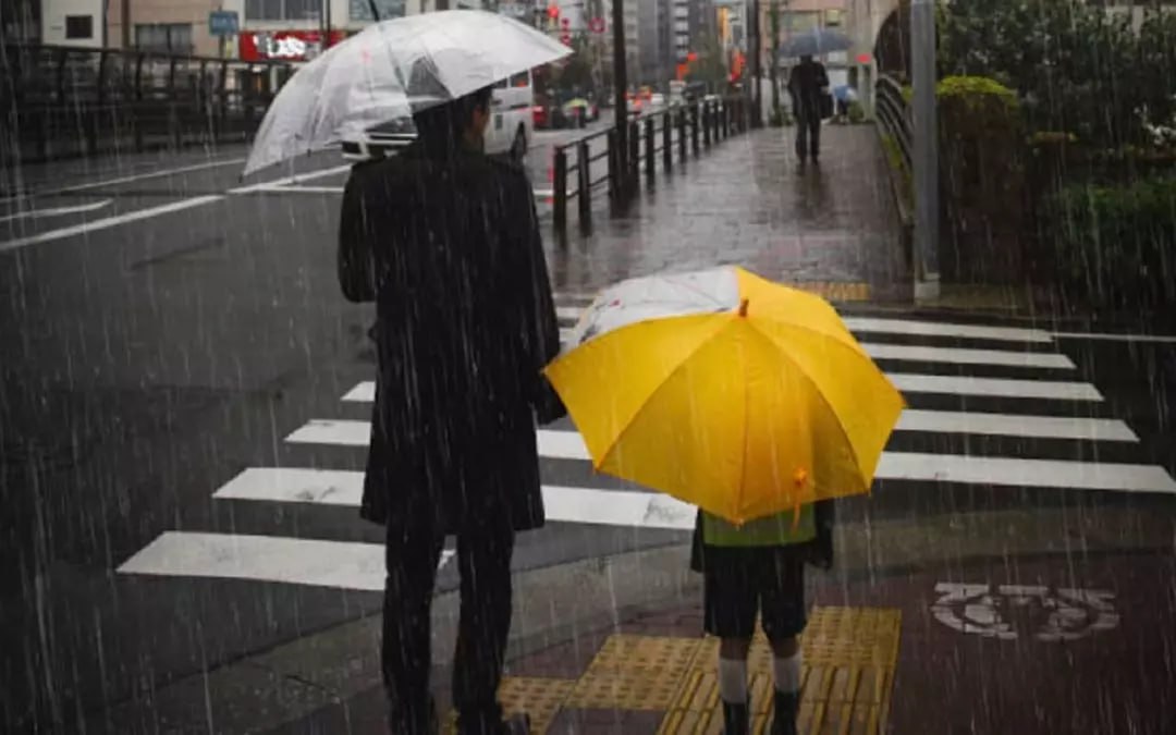 Водитель Toyota сбил 8-летнего мальчика в Воронеже