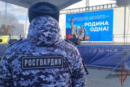 РОСГВАРДИЯ ОБЕСПЕЧИЛА БЕЗОПАСНОСТЬ ПРОВЕДЕНИЯ ПРАЗДНИЧНЫХ МЕРОПРИЯТИЙ ДНЯ НАРОДНОГО ЕДИНСТВА