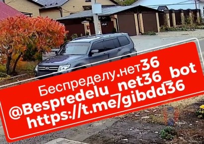 По горячим следам и в кратчайшие сроки удалось найти водителя сбившего котёнка