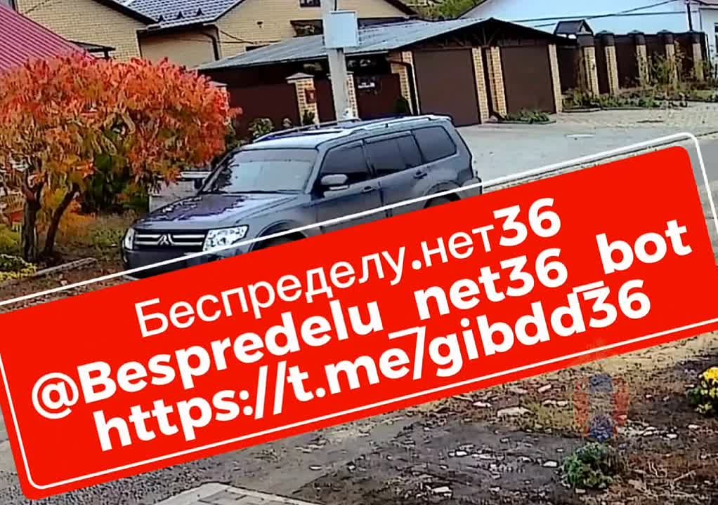 По горячим следам и в кратчайшие сроки удалось найти водителя сбившего котёнка