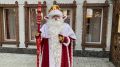 Воронежцев пригласили на день рождения Деда Мороза