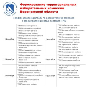 В Воронежской области завершился сбор предложений по кандидатурам в состав теризбиркомов