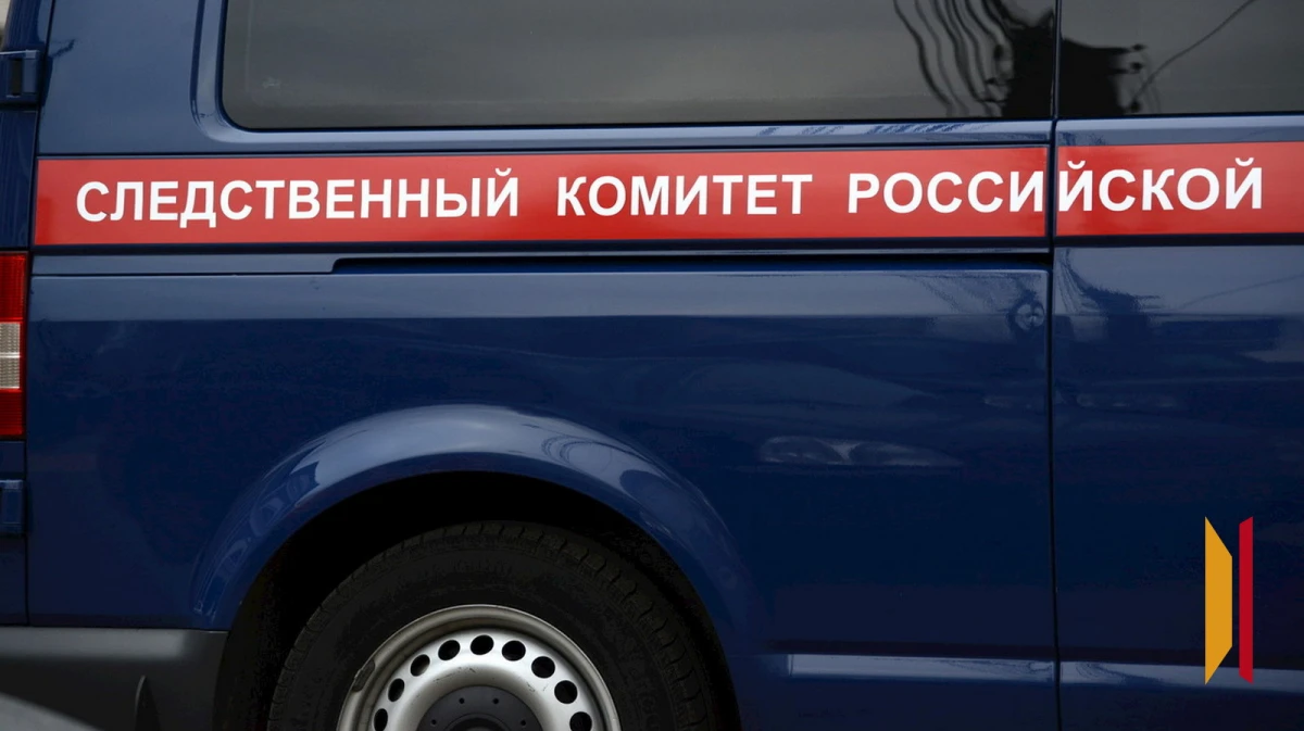 Возбуждено уголовное дело о ненадлежащем содержании «Дома врача Тобина» в Воронеже