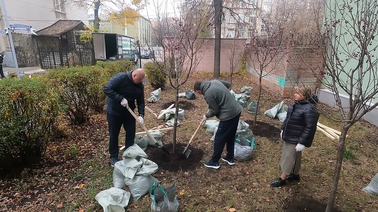 В Воронеже в сквере Никитина высадили 17 новых деревьев