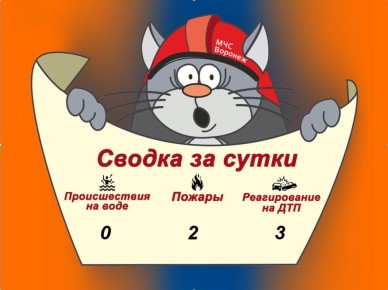 Оперативная сводка за сутки