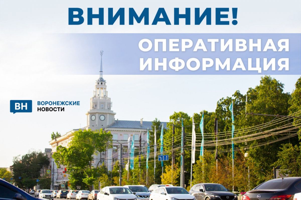 Одинокий беспилотник ликвидировали над Воронежской областью минувшей ночью