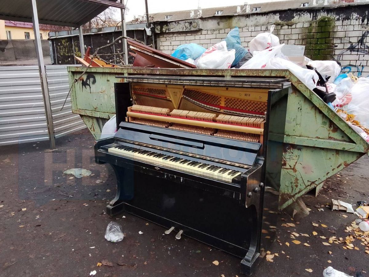 ТОП самых ярких событий ЦФО: стометровый триколор, стимпанк-скамья, чудо-щука и музыкально-помоечный артхаус